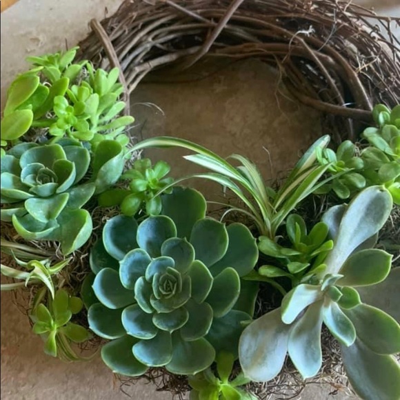 Meet your Posher, Lori - Picture 1 of 1